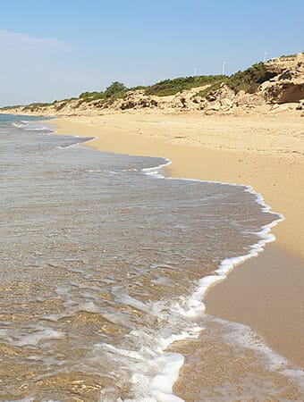 Genial Zeichnen - Malferien Apulien - Zeichenkurs von Maja Oschmann - Strand Dünen Meer - copyright Gianni Di Carlo